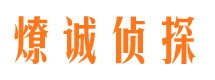 洛扎私家调查公司